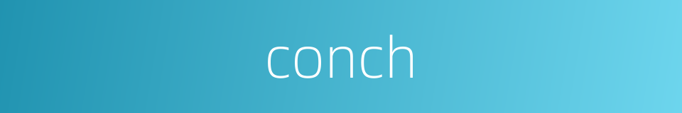 conch的同义词