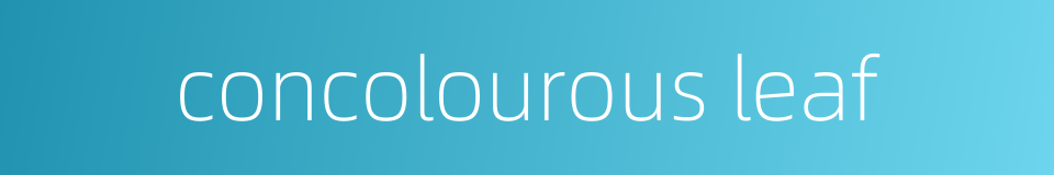 concolourous leaf的同义词