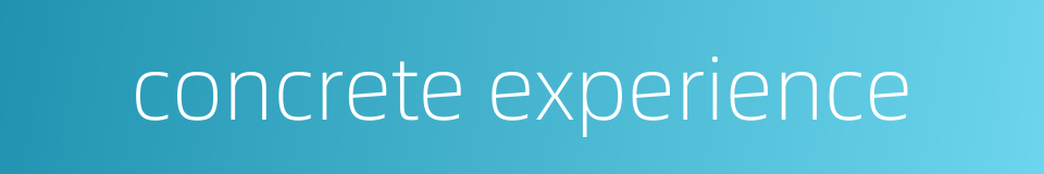 concrete experience的同义词