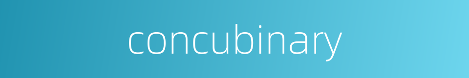 concubinary的同义词