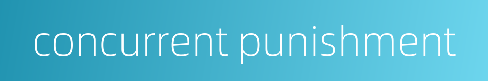 concurrent punishment的同义词