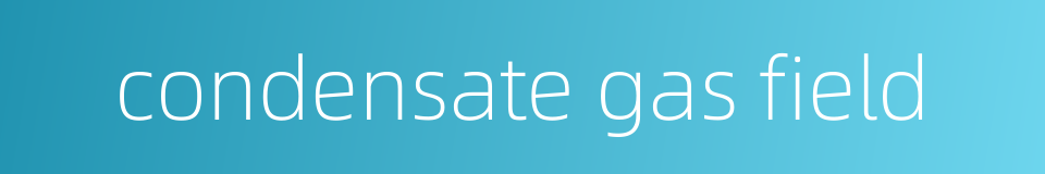 condensate gas field的同义词