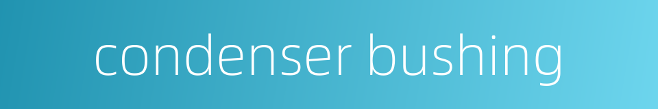 condenser bushing的同义词