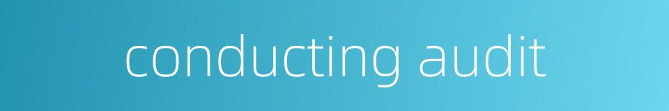 conducting audit的同义词