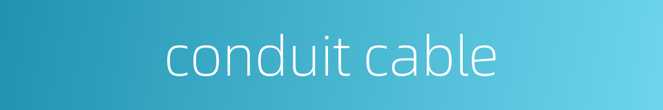conduit cable的同义词