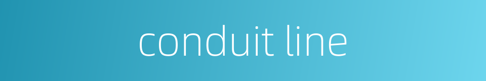 conduit line的同义词