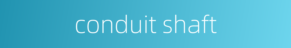 conduit shaft的同义词