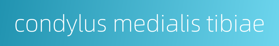 condylus medialis tibiae的同义词