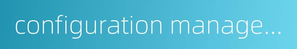 configuration management plan的同义词