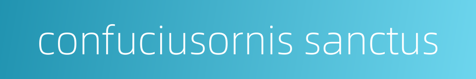 confuciusornis sanctus的同义词