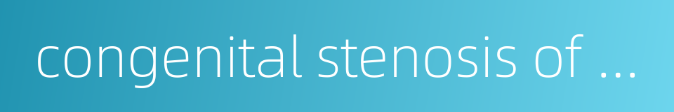 congenital stenosis of esophagus的同义词