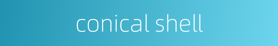 conical shell的同义词