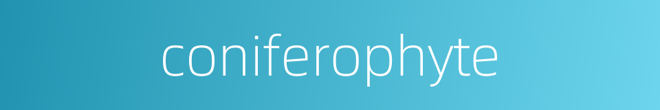 coniferophyte的同义词