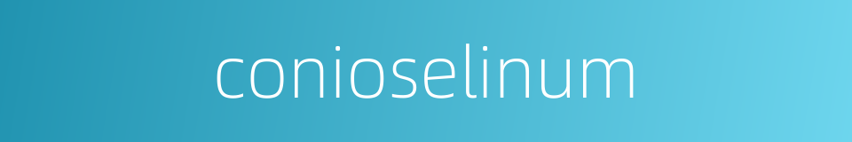 conioselinum的同义词