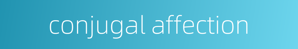 conjugal affection的同义词