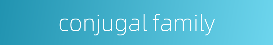 conjugal family的同义词