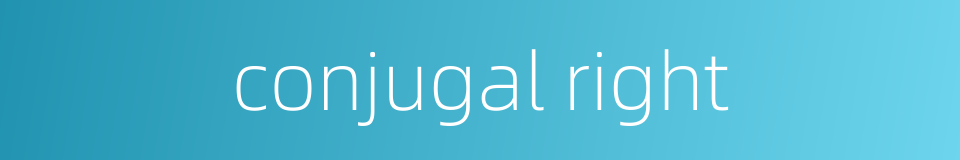 conjugal right的同义词