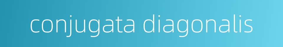 conjugata diagonalis的同义词