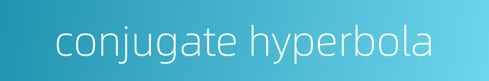 conjugate hyperbola的同义词