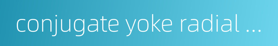 conjugate yoke radial cam的同义词