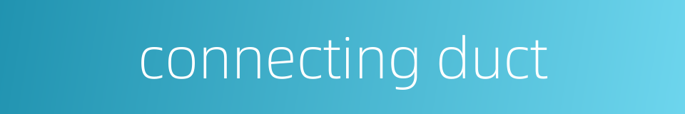 connecting duct的同义词