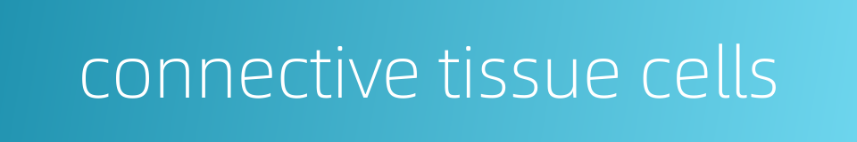 connective tissue cells的同义词