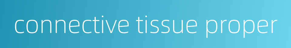 connective tissue proper的同义词