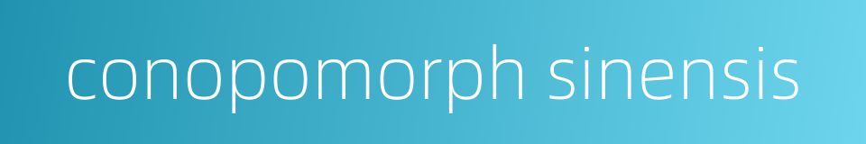 conopomorph sinensis的同义词