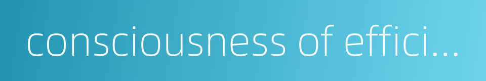 consciousness of efficiency的同义词