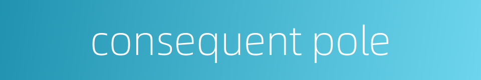consequent pole的同义词