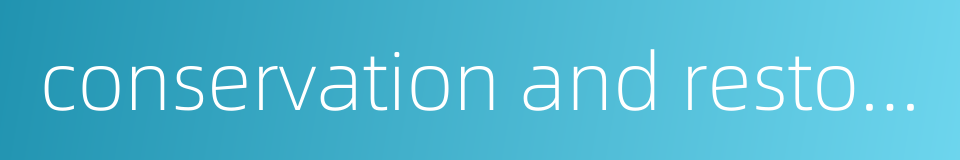 conservation and restoration的同义词