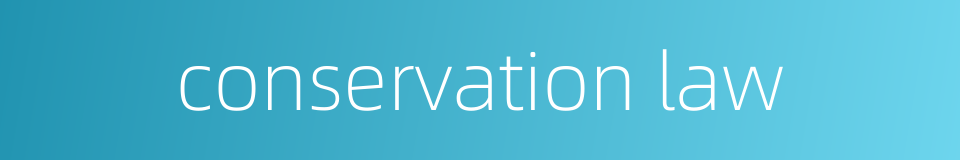 conservation law的同义词