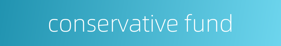 conservative fund的同义词