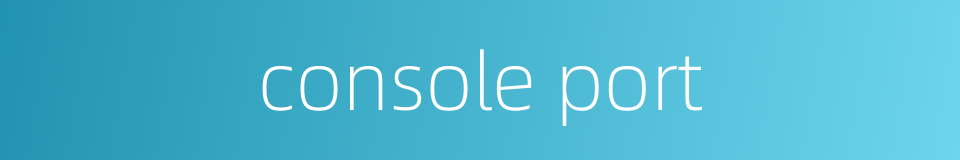 console port的同义词