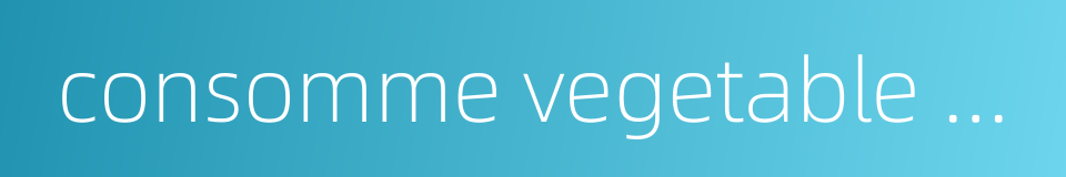 consomme vegetable soup的同义词