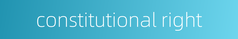 constitutional right的同义词