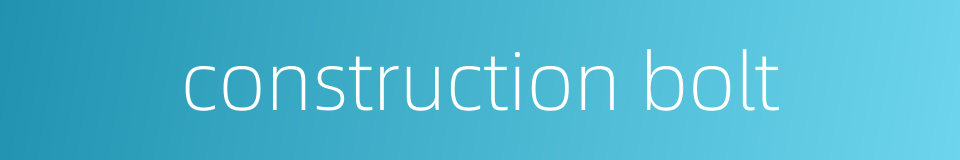 construction bolt的同义词