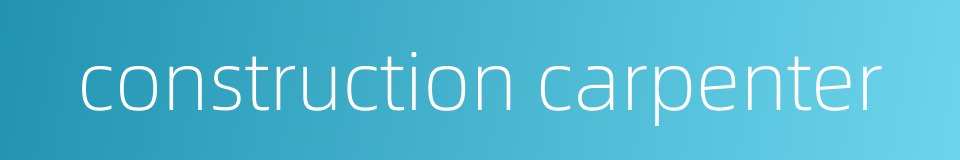 construction carpenter的同义词