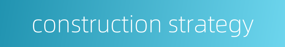 construction strategy的同义词