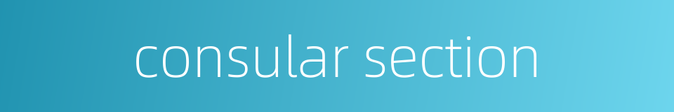 consular section的同义词