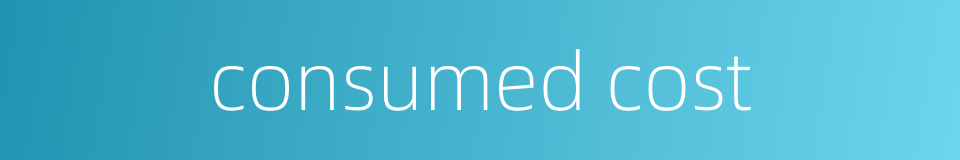 consumed cost的同义词