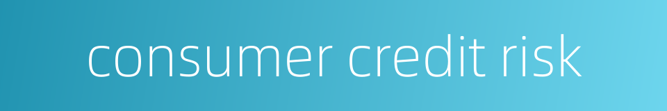 consumer credit risk的同义词
