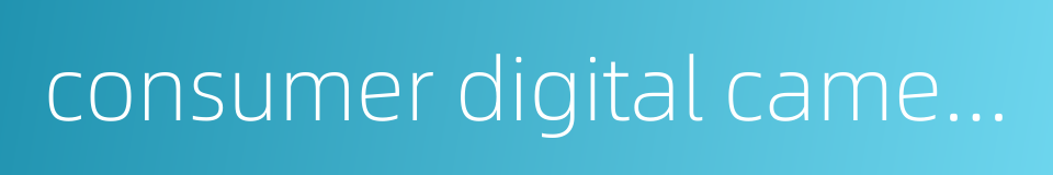 consumer digital camera的同义词