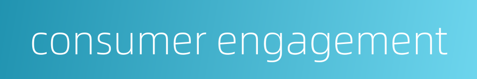 consumer engagement的同义词