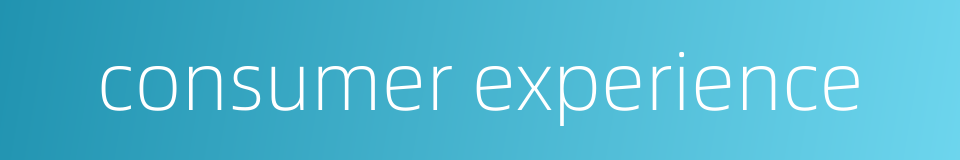 consumer experience的同义词