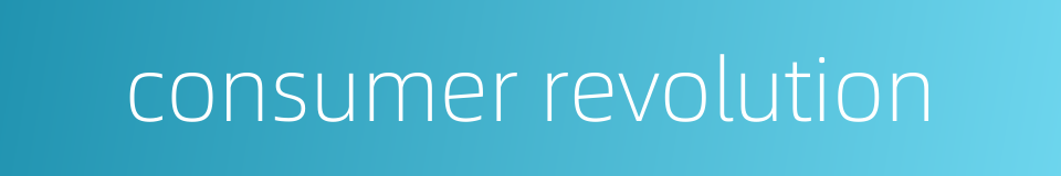 consumer revolution的同义词