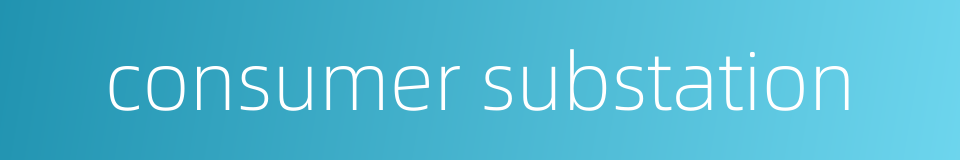 consumer substation的同义词