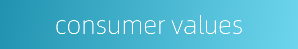consumer values的同义词