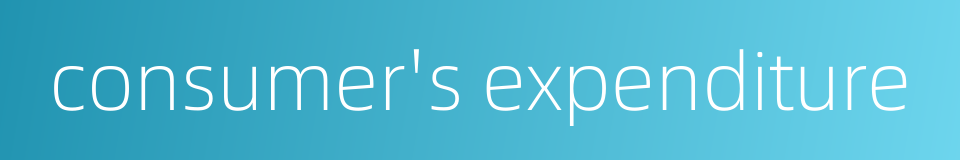 consumer's expenditure的同义词