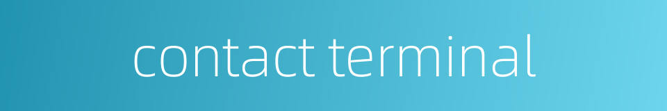 contact terminal的同义词
